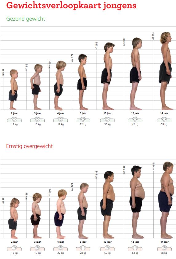 Bungalow optocht portemonnee Gewicht van je kind: check de groeicurve | WIJ.nl