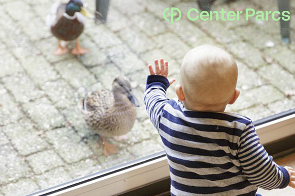 Boek je gezinsvakantie bij CenterParcs