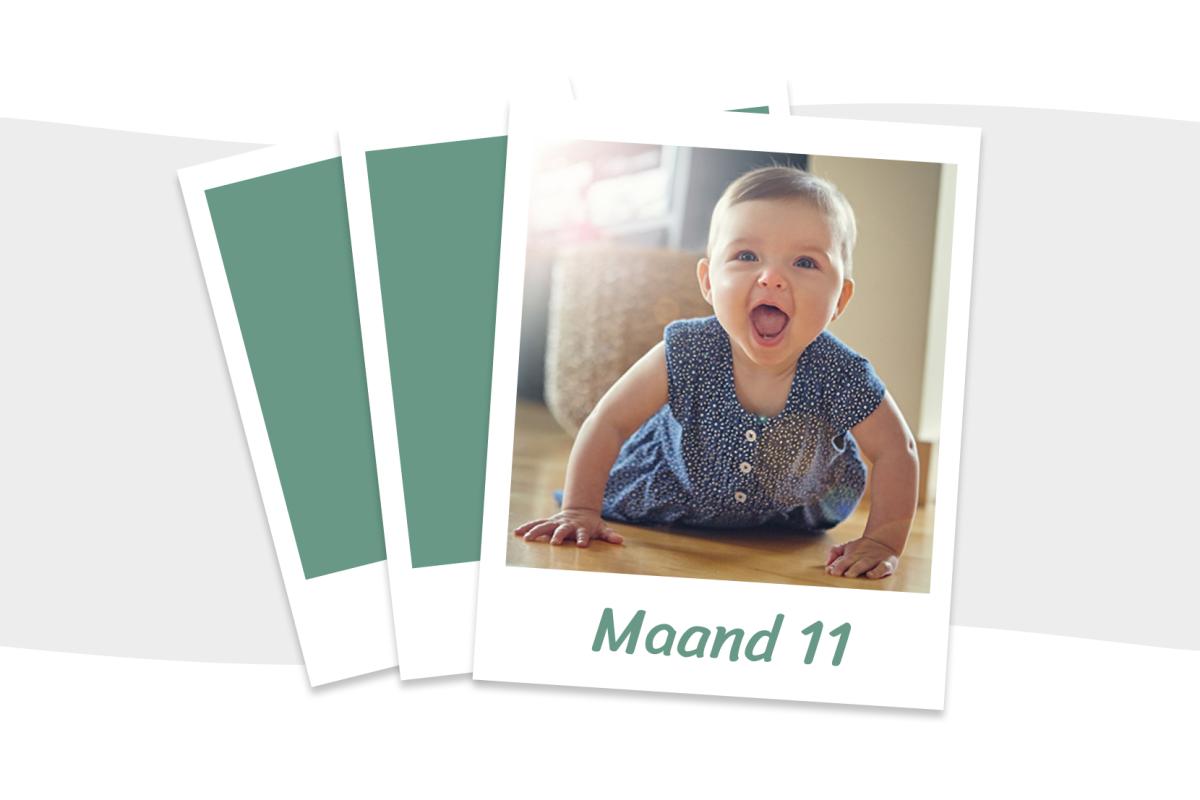 Baby 11 maanden: wat kun je verwachten? Baby 11 maanden: wat kun je verwachten?