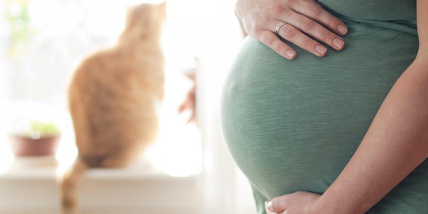 Toxoplasmose: infectie tijdens je zwangerschap