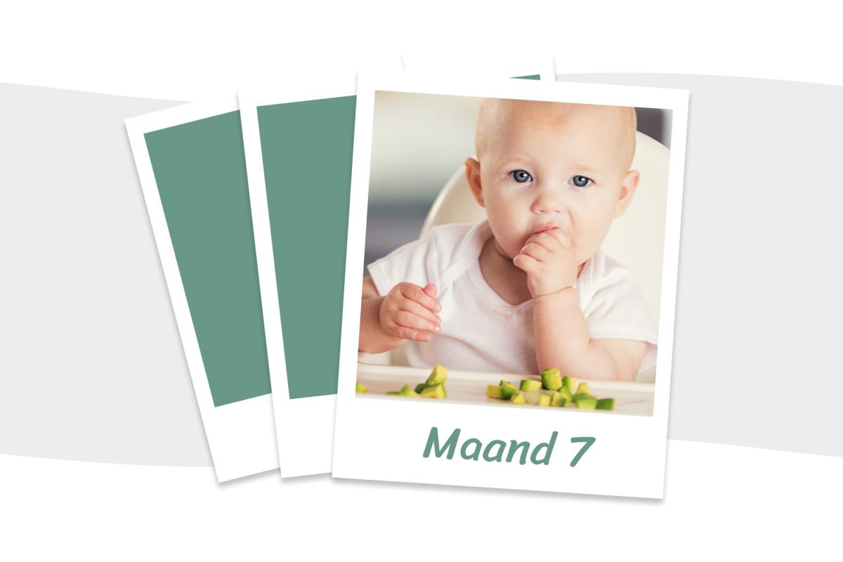 Baby 7 maanden: wat kun je verwachten? Baby 7 maanden: wat kun je verwachten?