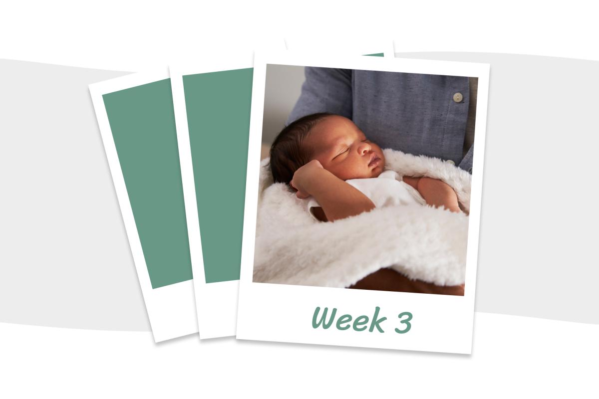 Week 3 van je baby: wat kun je verwachten?