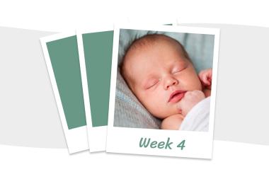 Je baby in week 4