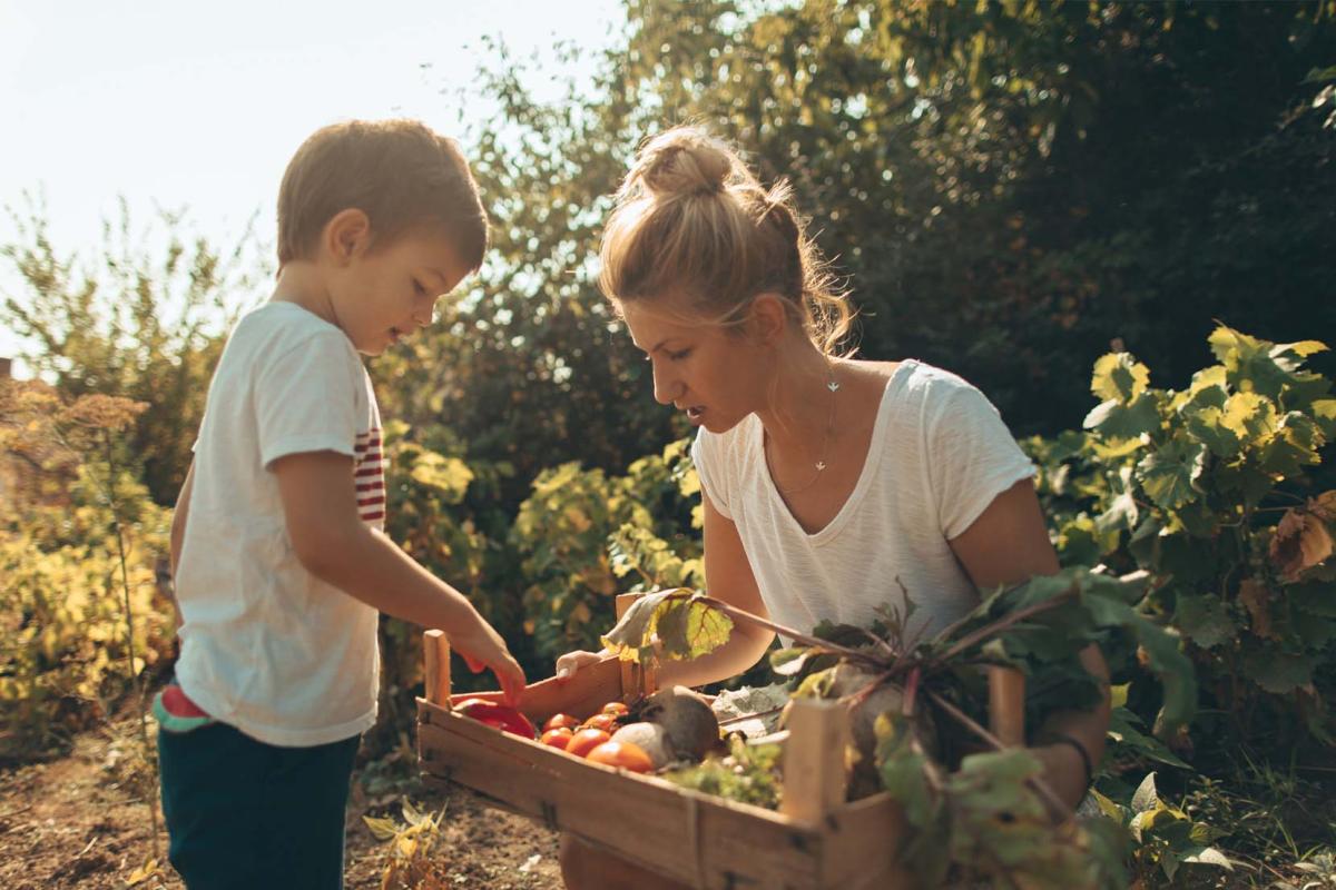 Biologische voeding voor kinderen