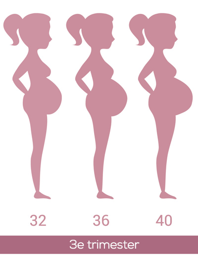 Groei zwangere buik vanaf 32 weken