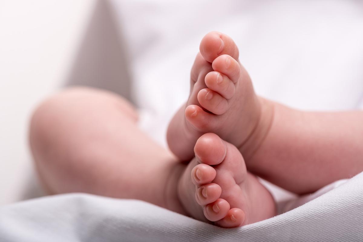 De bevallingssoap: het ziekenhuisavontuur De bevallingssoap: het ziekenhuisavontuur