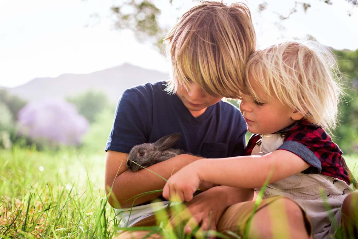 Huisdier voor de ontwikkeling van kinderen