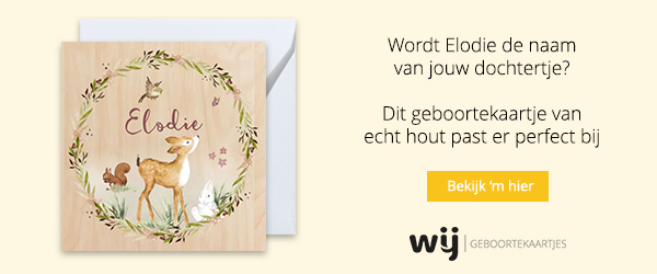 WIJ Geboortekaartjes