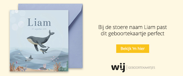 WIJ Geboortekaartjes