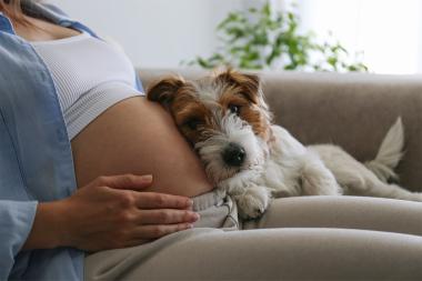 Je huisdier voorbereiden op de komst van je baby