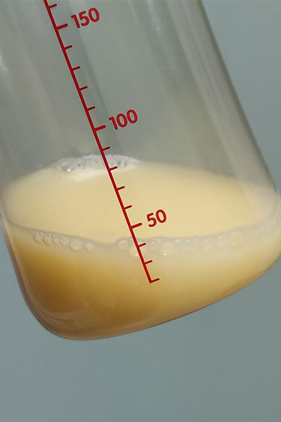 colostrum