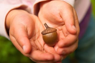 Columnist Martje over de werknaam van haar ongeboren baby: de kleine eikel