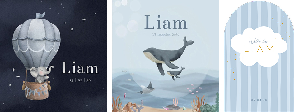 Kaartjes Liam | WIJ Geboortekaartjes