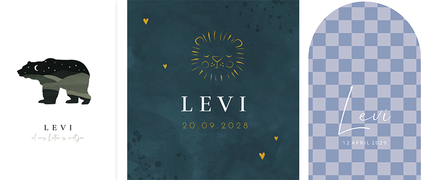 Kaartjes Levi | WIJ Geboortekaartjes