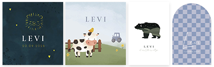 Kaartjes Levi | WIJ Geboortekaartjes