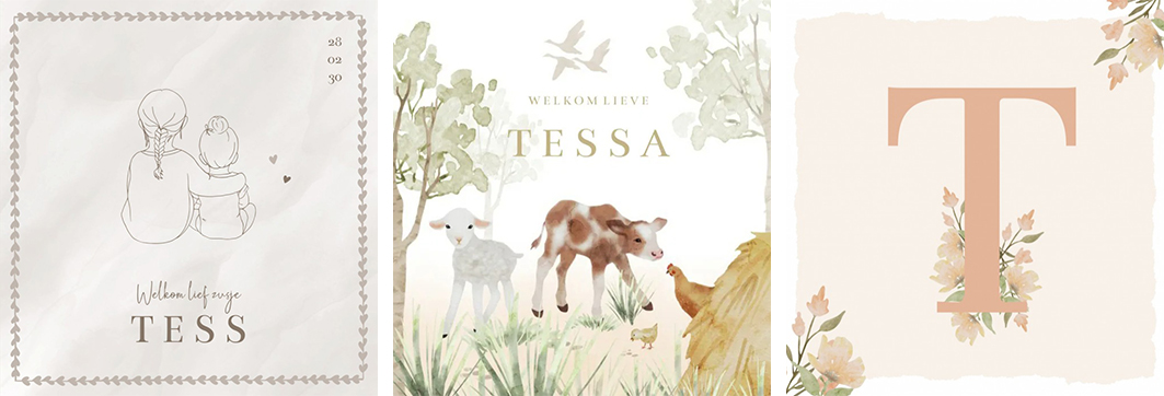 Kaartjes Tess | WIJ Geboortekaartjes