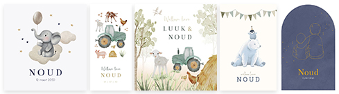 Kaartjes Noud | WIJ Geboortekaartjes