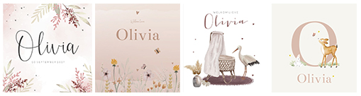 Kaartjes Olivia | WIJ Geboortekaartjes