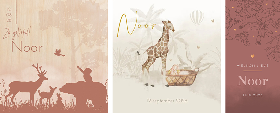 Kaartjes Noor | WIJ Geboortekaartjes
