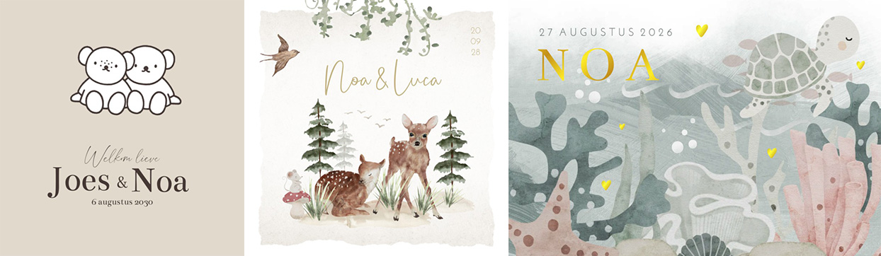 Kaartjes Noa | WIJ Geboortekaartjes