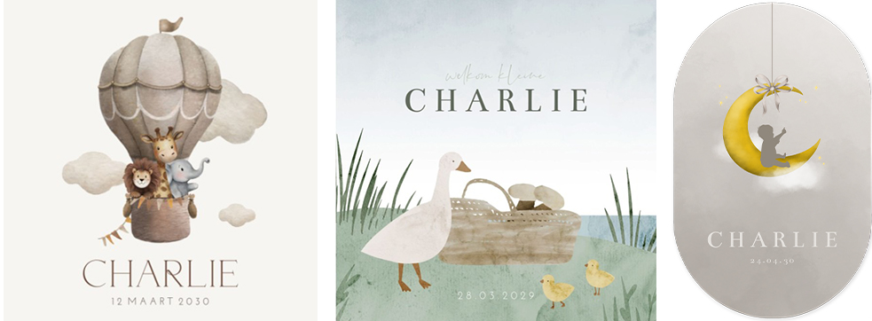 Kaartjes Charlie | WIJ Geboortekaartjes