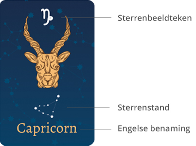 Symbool Steenbok Symbool Steenbok