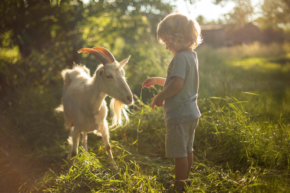 Sterrenbeeld Ram: dit zegt het over je kind