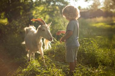 Sterrenbeeld Ram: dit zegt het over je kind