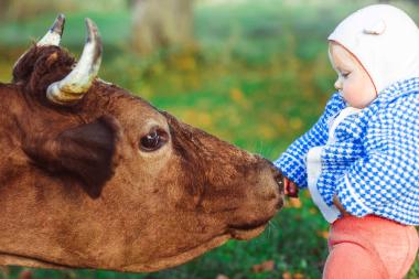 Sterrenbeeld Stier: dit zegt het over je kind