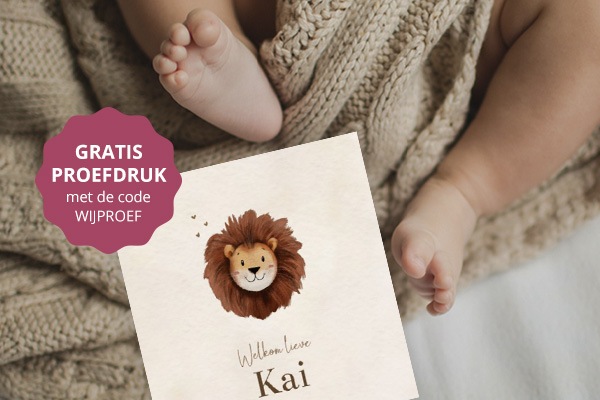 WIJ Geboortekaartjes Unieke geboortekaartjes bij WIJ Geboortekaartjes
