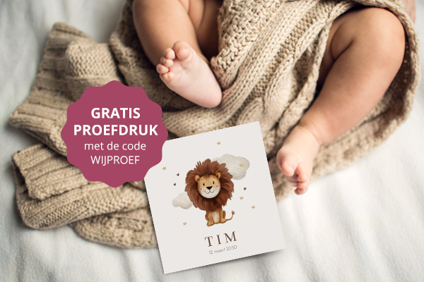 Unieke geboortekaartjes bij WIJ Geboortekaartjes